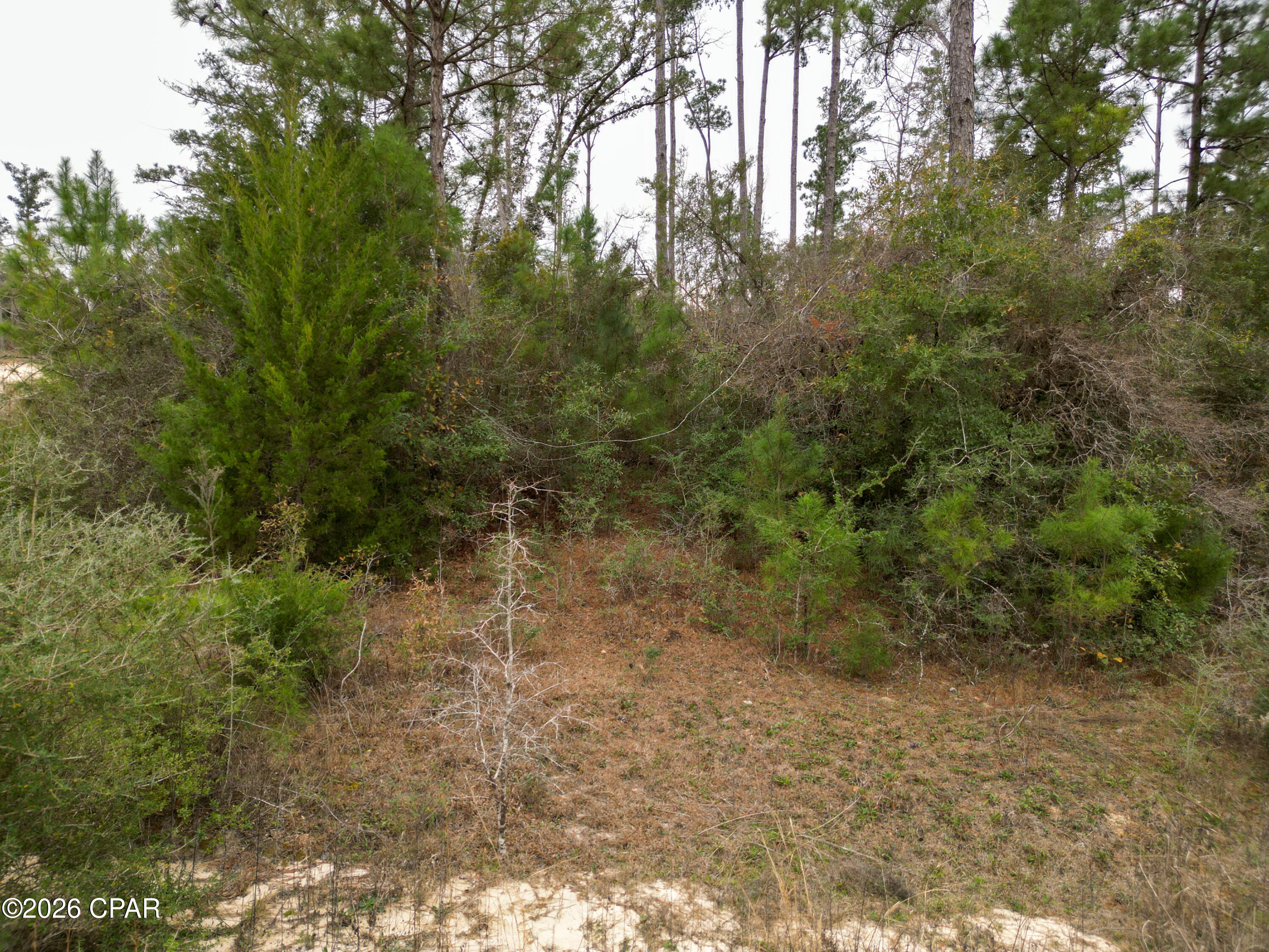 Compass Lake Hills Unit 3 - Land