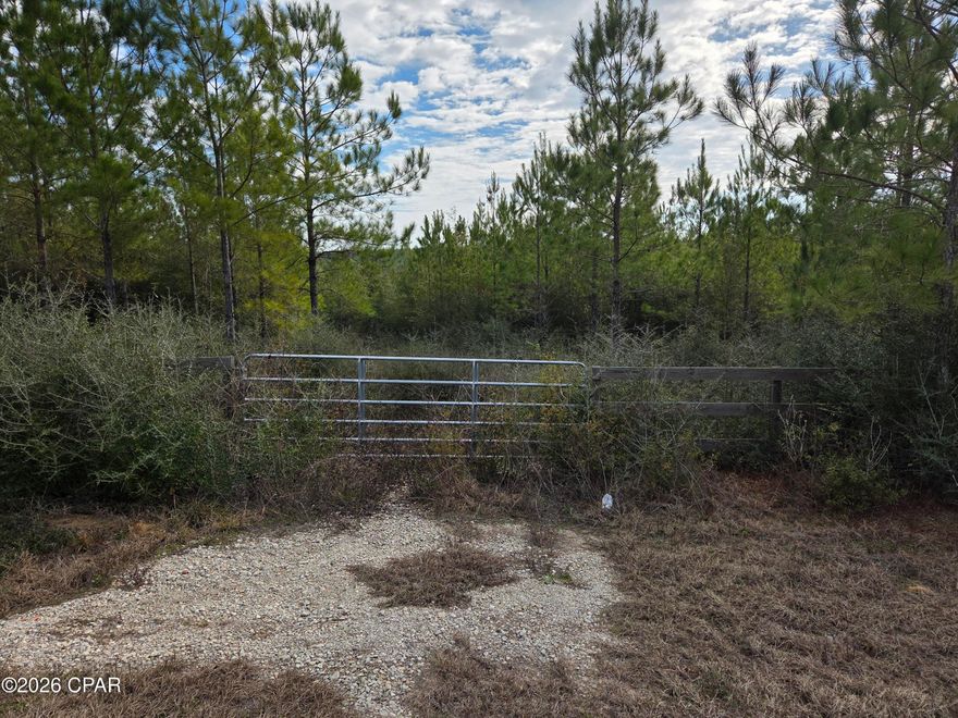 Build your country home on this 10+ acres  within a short drive to I-10 and Panama City Beach as well.  There is a gate at the front of the property that opens to a gentle sloping road surrounded by trees.