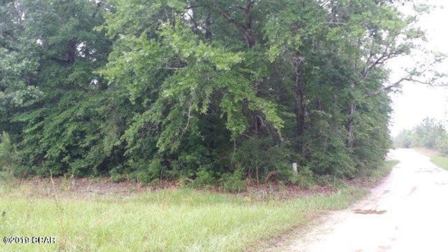 Nice 4.5 +/- acre wooded lot in Creek Run subdivision. Property is wooded with mixed hardwoods and pines.  Owner will share access to Holmes Creek . Deed restrictions will allow mobile homes. Several fishing spots in the area. Approx. 35 minutes to Panama City Beach, Northwest Florida International Airport and Pier Park shopping.