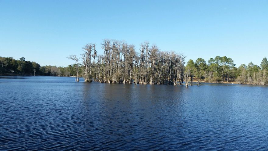 BEAUTIFUL PROPERTY ON BEAR POND. LOTS OF NICE TREES. NICE SLOPE TO WATER. DOCK. POND IS FULL OF NICE FAT FISH. HOME IN GOOD SHAPE. OWNER WILL FINANCE WITH $10,000 DOWN AND AGREEABLE TERMS. 2ND ROOM COULD BE USED AS BEDROOM, JUST DOESN'T HAVE A CLOSET.