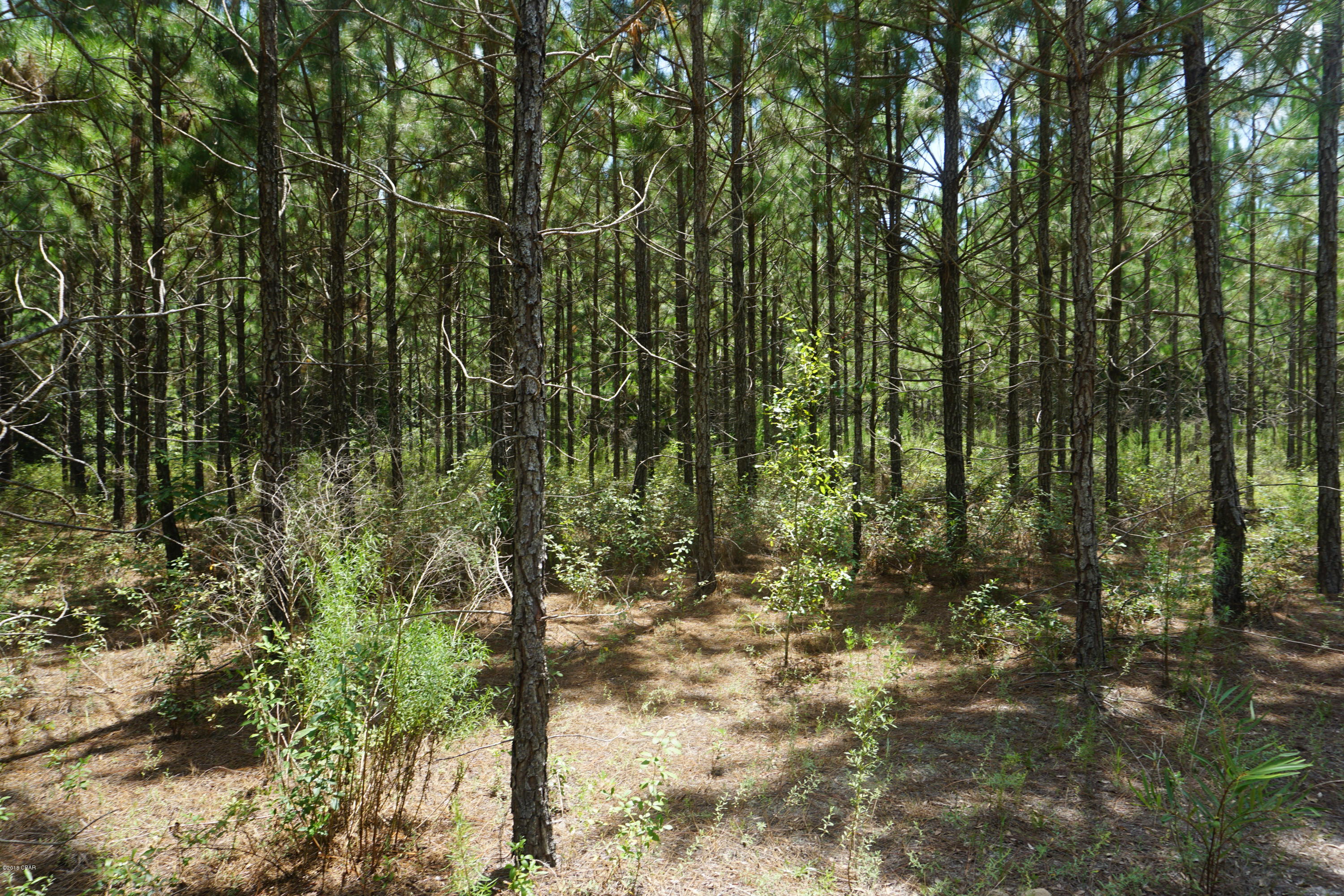 No Named Subdivision - Land