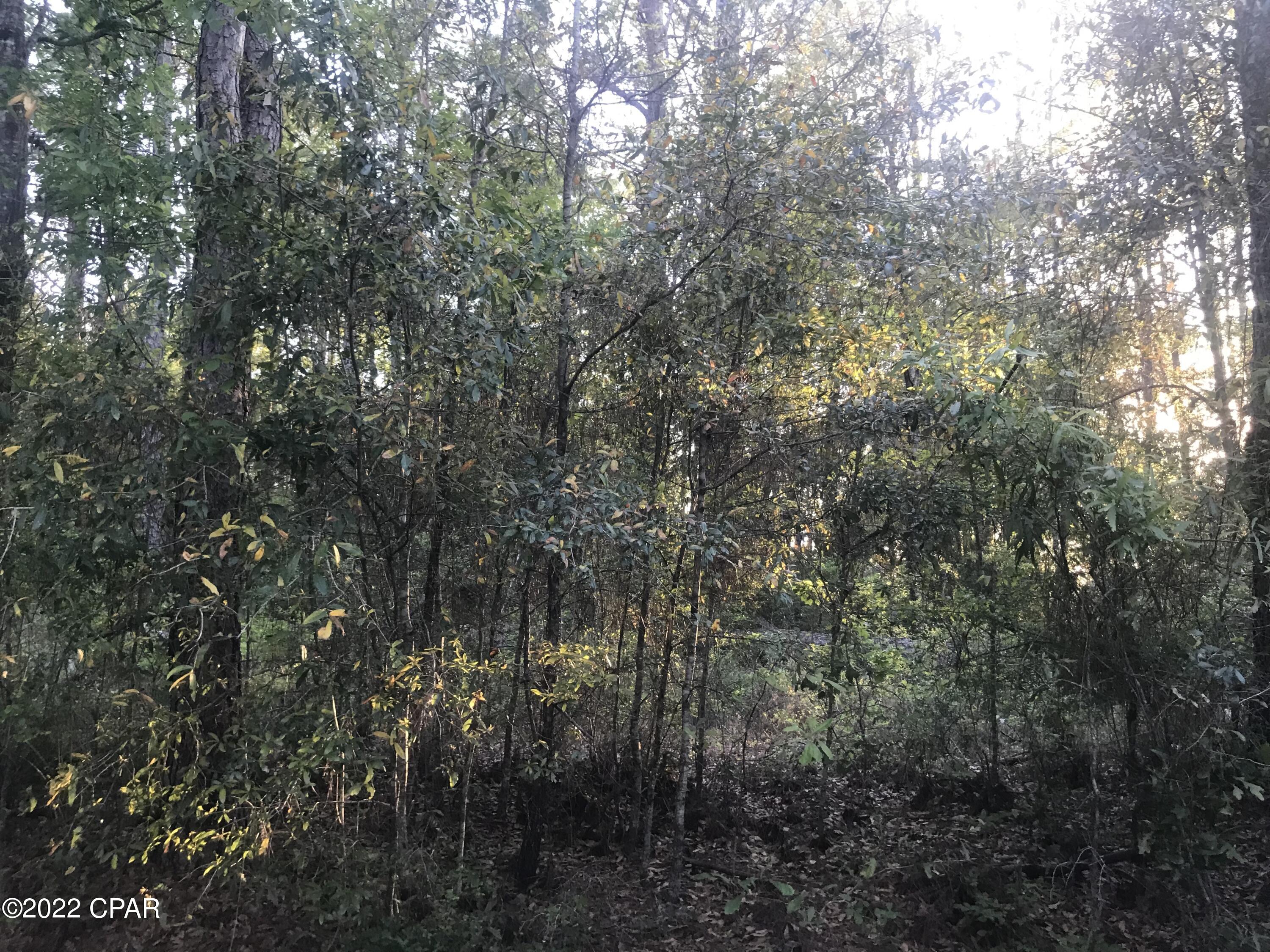 Dogwood Lake Estates - Land