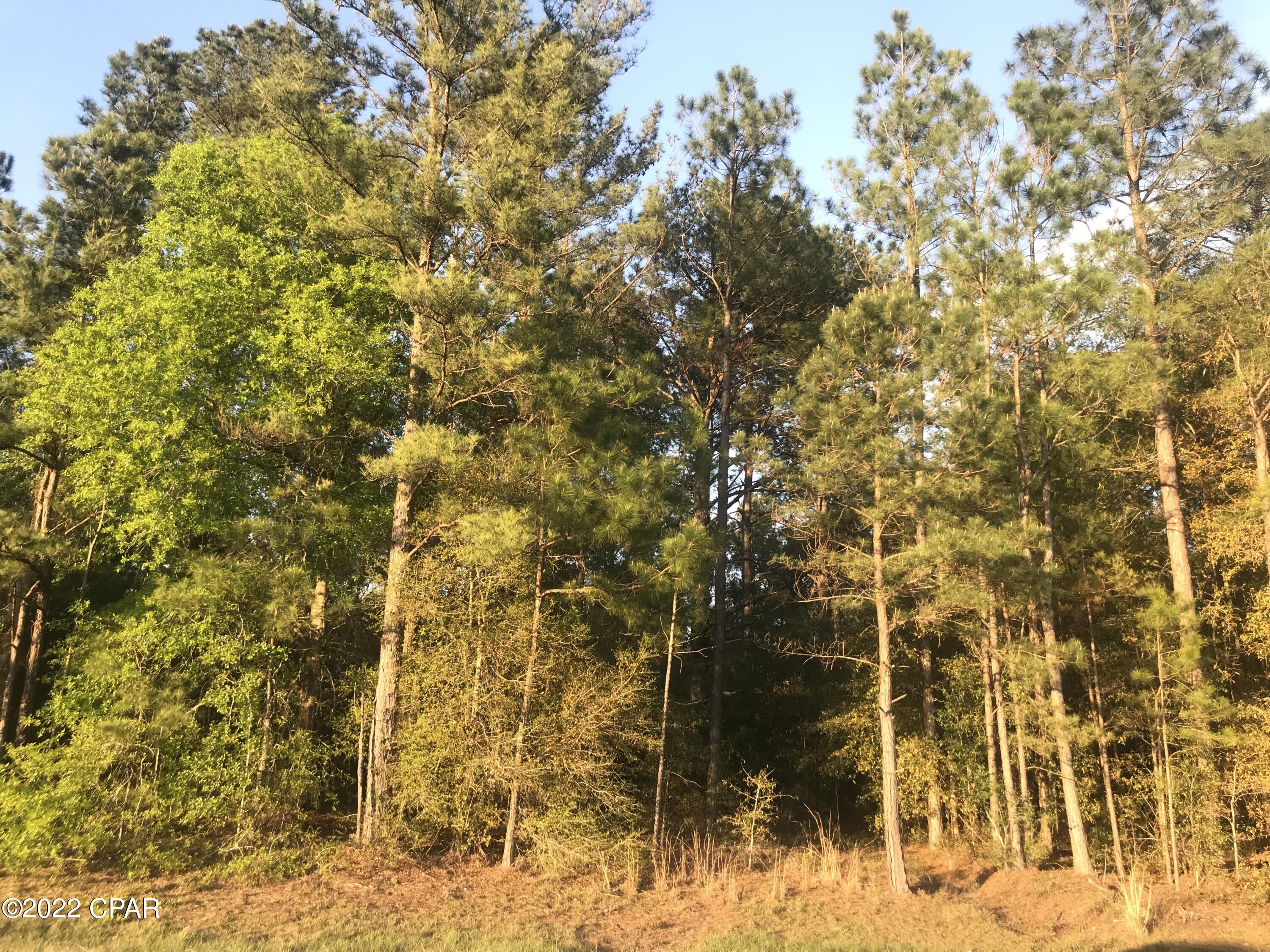 Dogwood Lake Estates - Land
