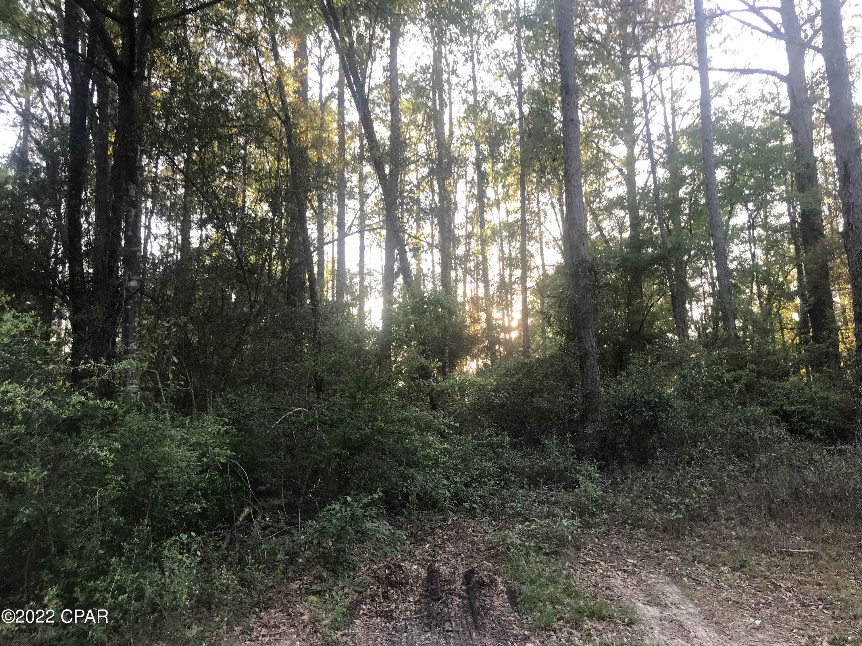 Dogwood Lake Estates - Land