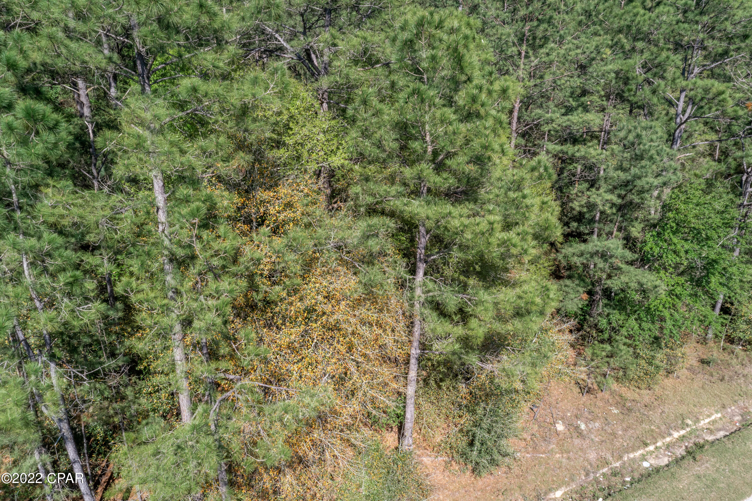 Dogwood Lake Estates - Land