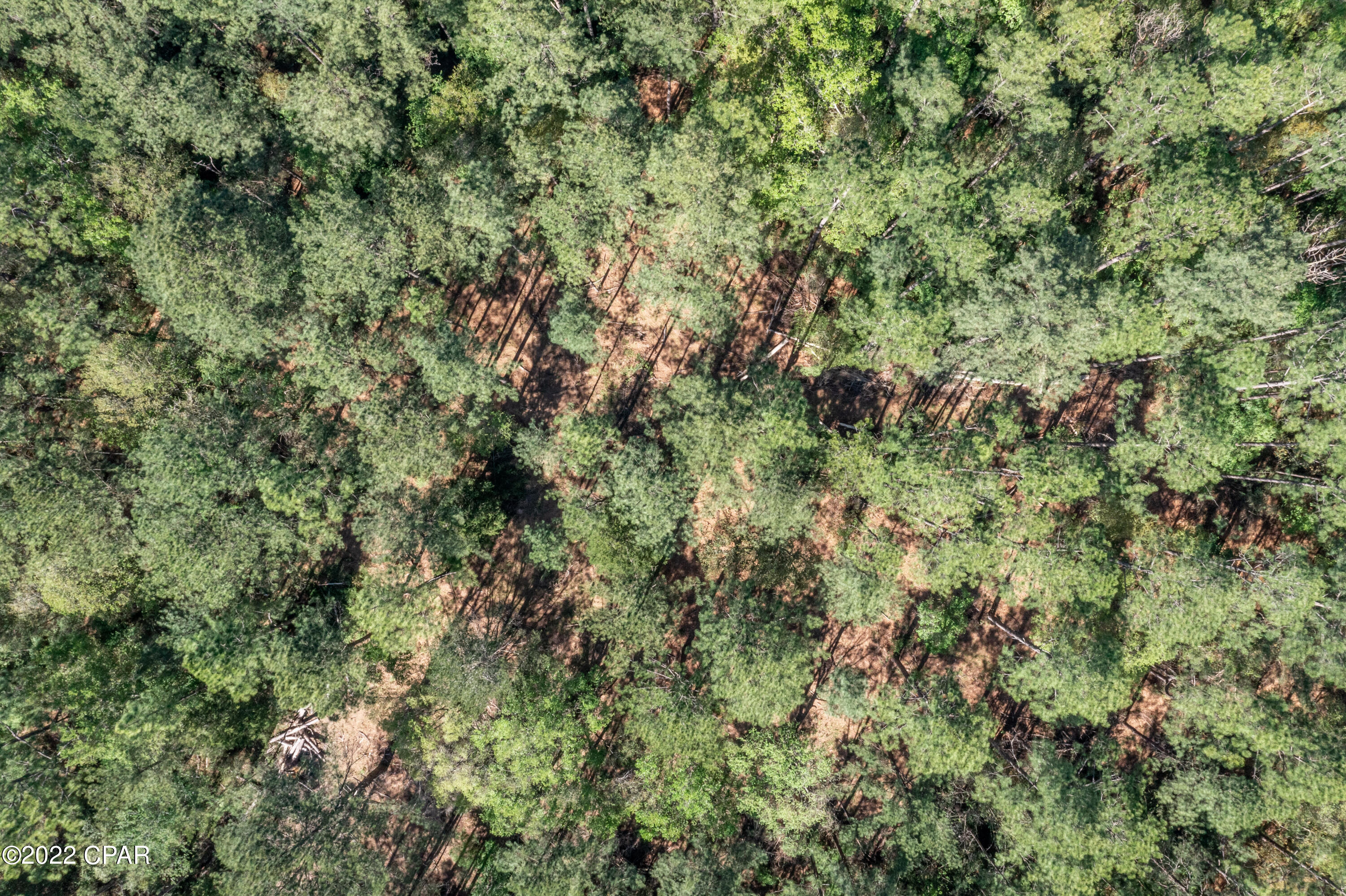 Dogwood Lake Estates - Land