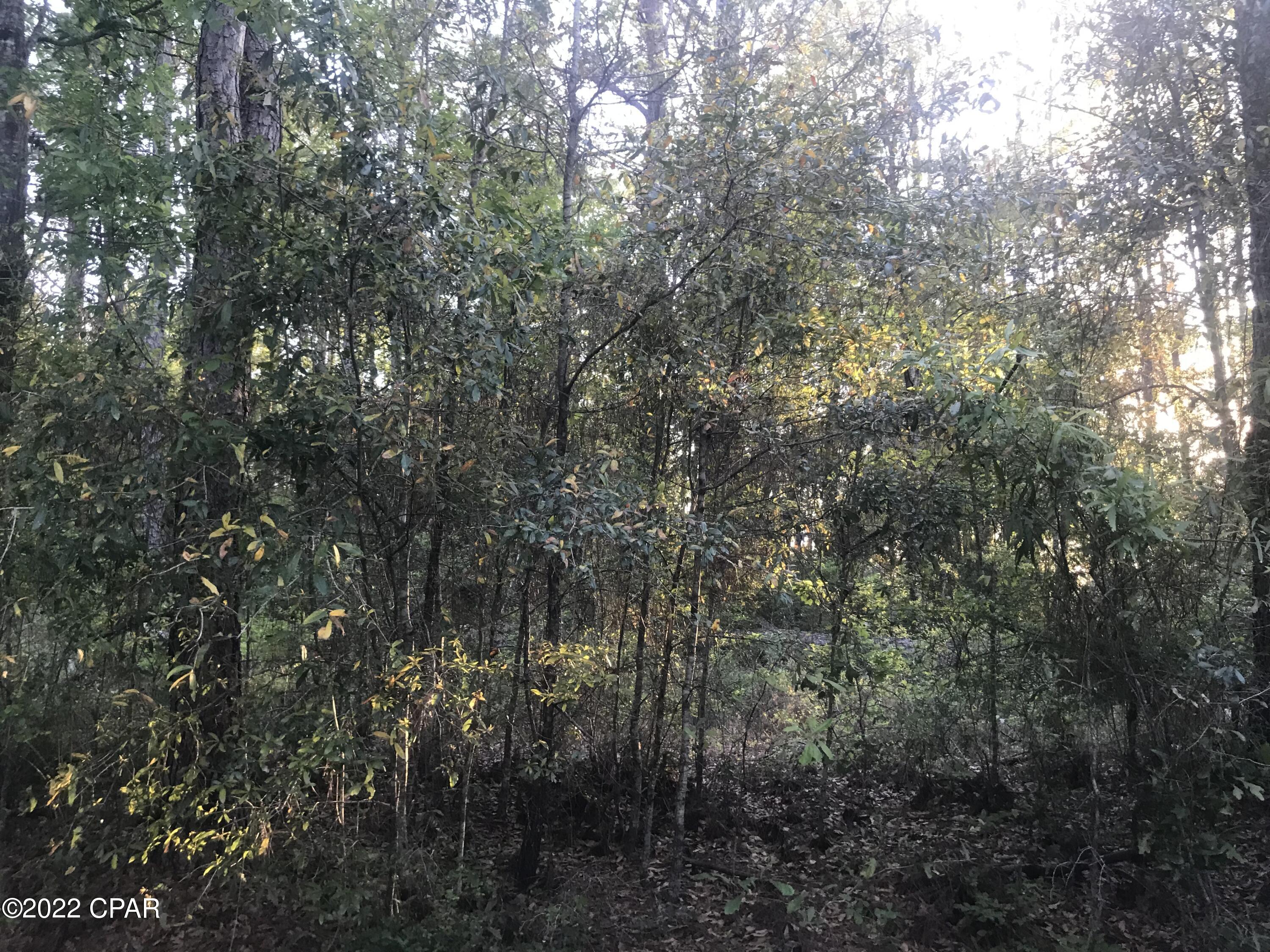 Dogwood Lake Estates - Land