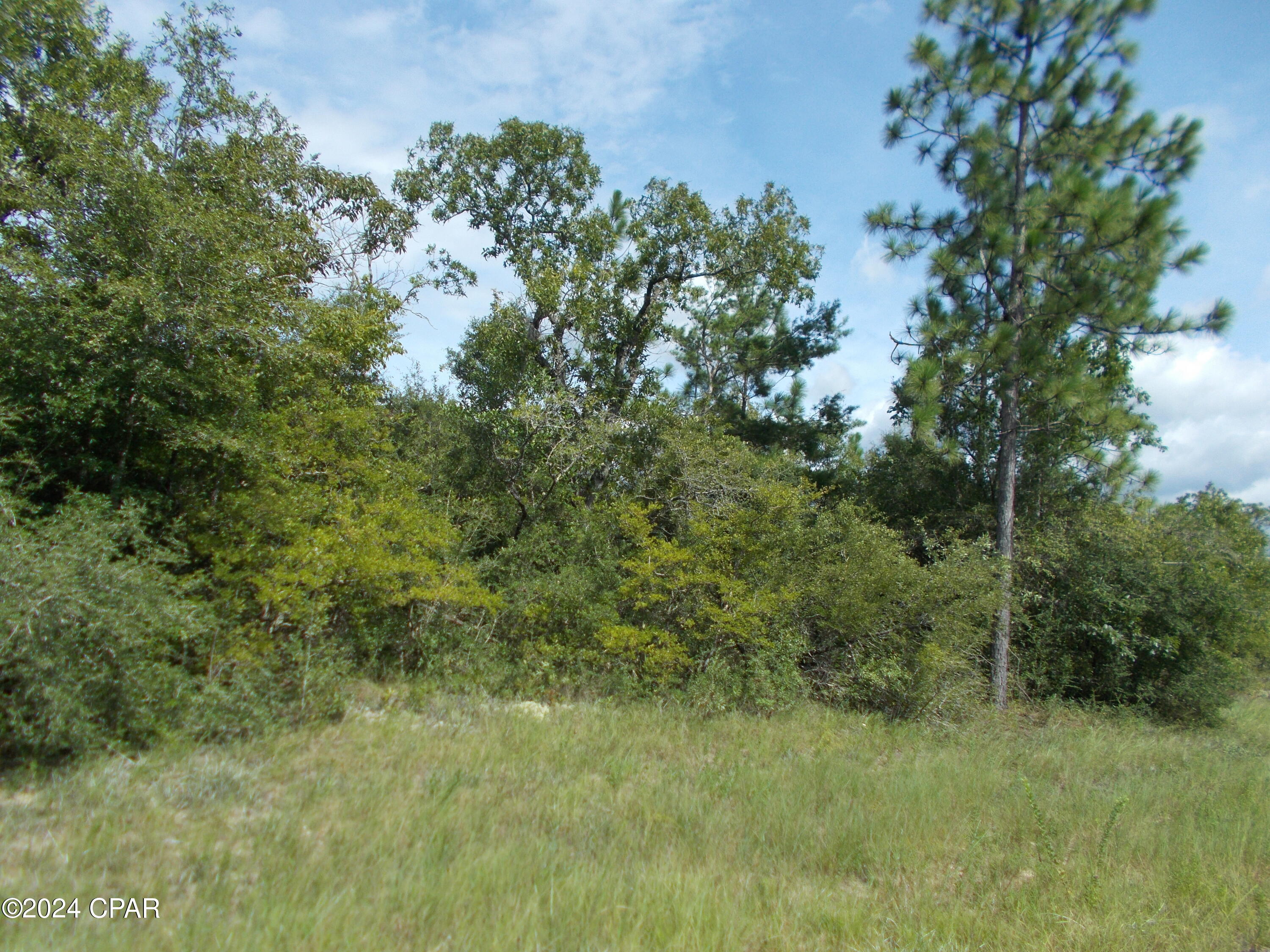 Sunny Hills Unit 7 - Land