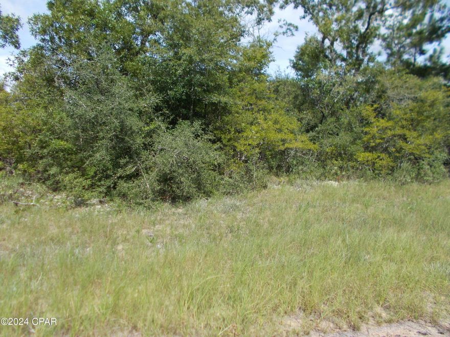 Nice vacant wooded lot in Sunny Hills, enjoy the lakes and golf course in this subdivision.