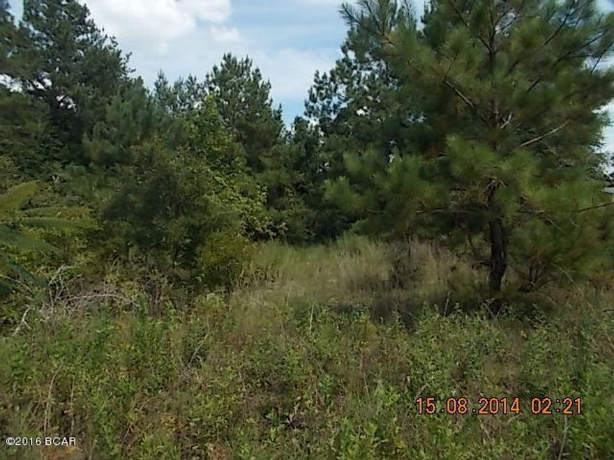 A GREAT INVESTMENT ! lots of road frontage on County graded dirt road. Property on both sides of road. There is a concrete block building with metal roof on the property, used for storage. Has a fairly new deep well for water and a good farm fence around the perimeter. Good place for cattle or horses. Owner has had survey done dividing into 3 parcels. Nice rural area close to Alabama State line.