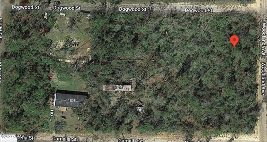 High and dry wooded lot near grocery stores, doctors/hospitals, and restaurants. This is your chance to own an affordable property!