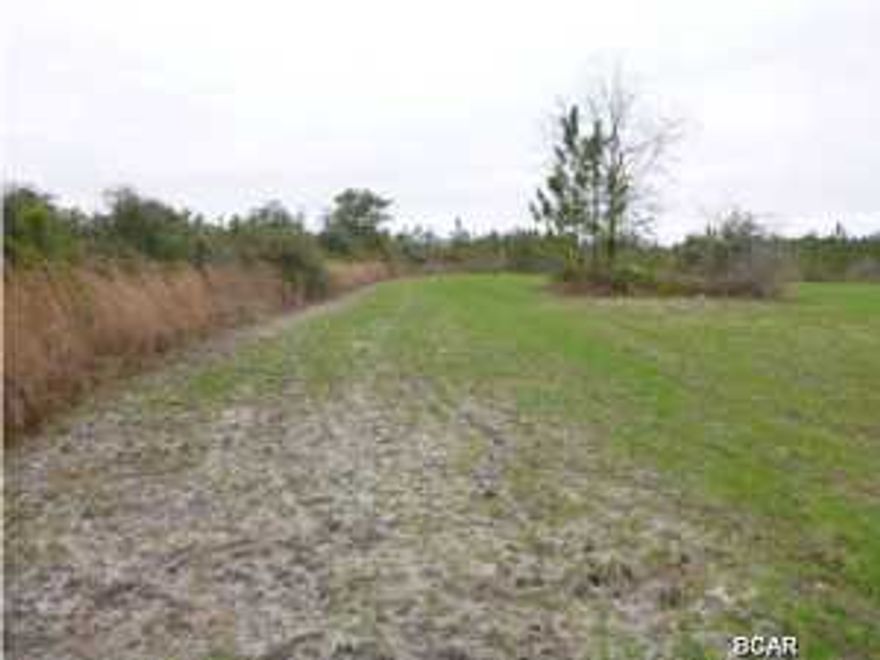 5 acres of beautiful property surrounded by timberlands with 1/2 cleared and planted as a feed plot. Bordered by former Plum Creek Hunting Club lease property.