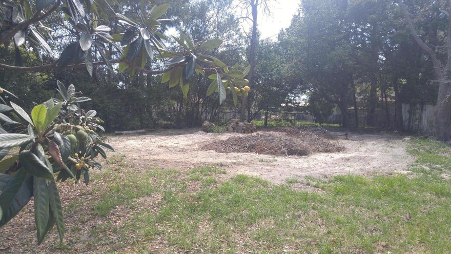 Fantastic location! This lot is in town, walking distance to grocery stores, Gulf Coast State College and the Hathaway bridge. Perfect location to build a home! Fantastic investment opportunity as well. Lot is on a Public paved road, mature pecan trees and not in a flood zone!