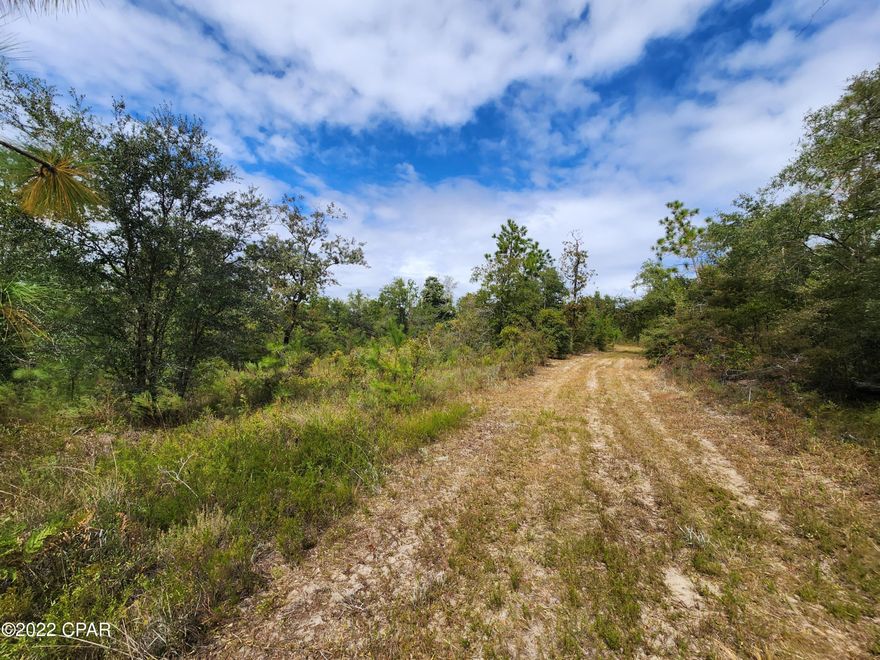 If you have always wanted hunting land in the Rock Bluff area near Torreya State park land this is your chance.  Gorgeous views from this property with only deer and turkey to disturb the tranquility.  There is a tree stand and feeder the owner is leaving so you can enjoy the property this hunting season.  The road into property ends at a great place to put a cabin looking over the property.  If you have been looking for land in this area for a few years you know that this is a rare chance to buy, don't wait.