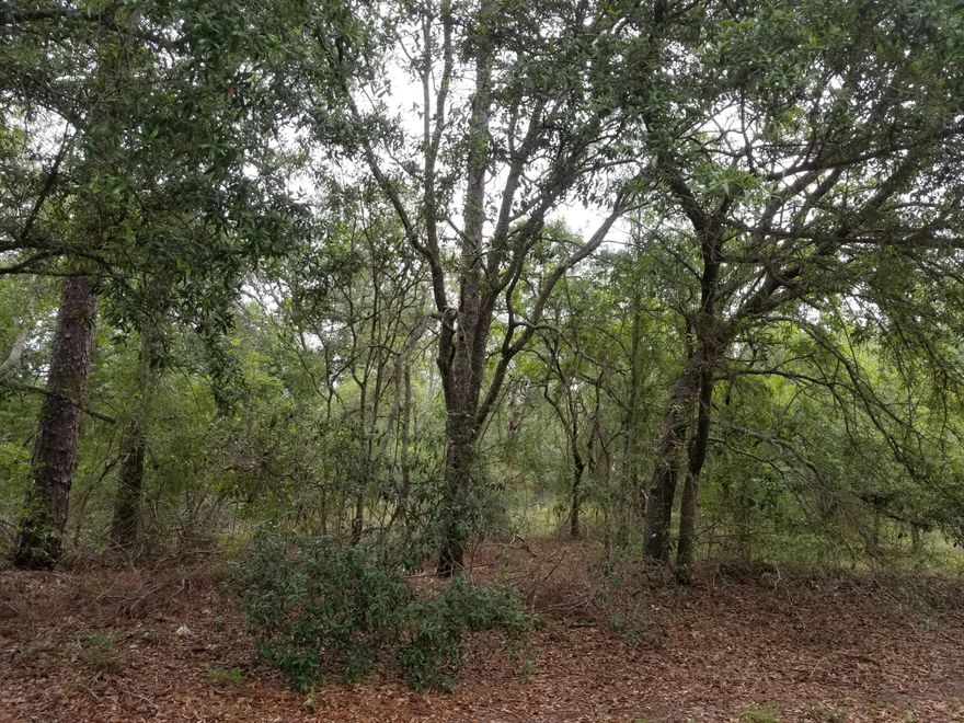 This lot is gorgeous due to the numerous live oak trees all over this shady 2.4 acres now available in the resort-like development of Leisure Lakes. Because of its size, a homeowner could build in the middle of the lot and not see any neighbors with assistance from all of the trees. It is on a paved road and has underground utilities. The subdivision features two lakes, swimming pool, covered pavilion for family picnics, rental kitchen, men's and women's restrooms, exercise room, toddler playground, grill stations, basketball court, tennis court, concrete boat launch and more. The large lake is great for swimming, fishing and kayaking. It is one of the clearest lakes in northwest Florida. Call for a guided tour today.