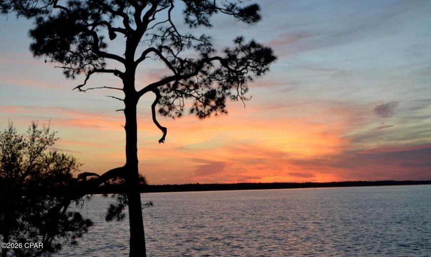 Build your dream home on this beautiful .81 acre bayfront lot in Richard Bayou Estates This property features 100 feet of shoreline on East Bay!  Located on a cul-de-sac street in an upscale community with no HOA!  Live the Florida dream and have your own private beach on the bay! Enjoy boating, swimming, paddleboarding and jet skiing  from your backyard! View spectacular sunsets on the bay every evening. Go see the amazing property today!