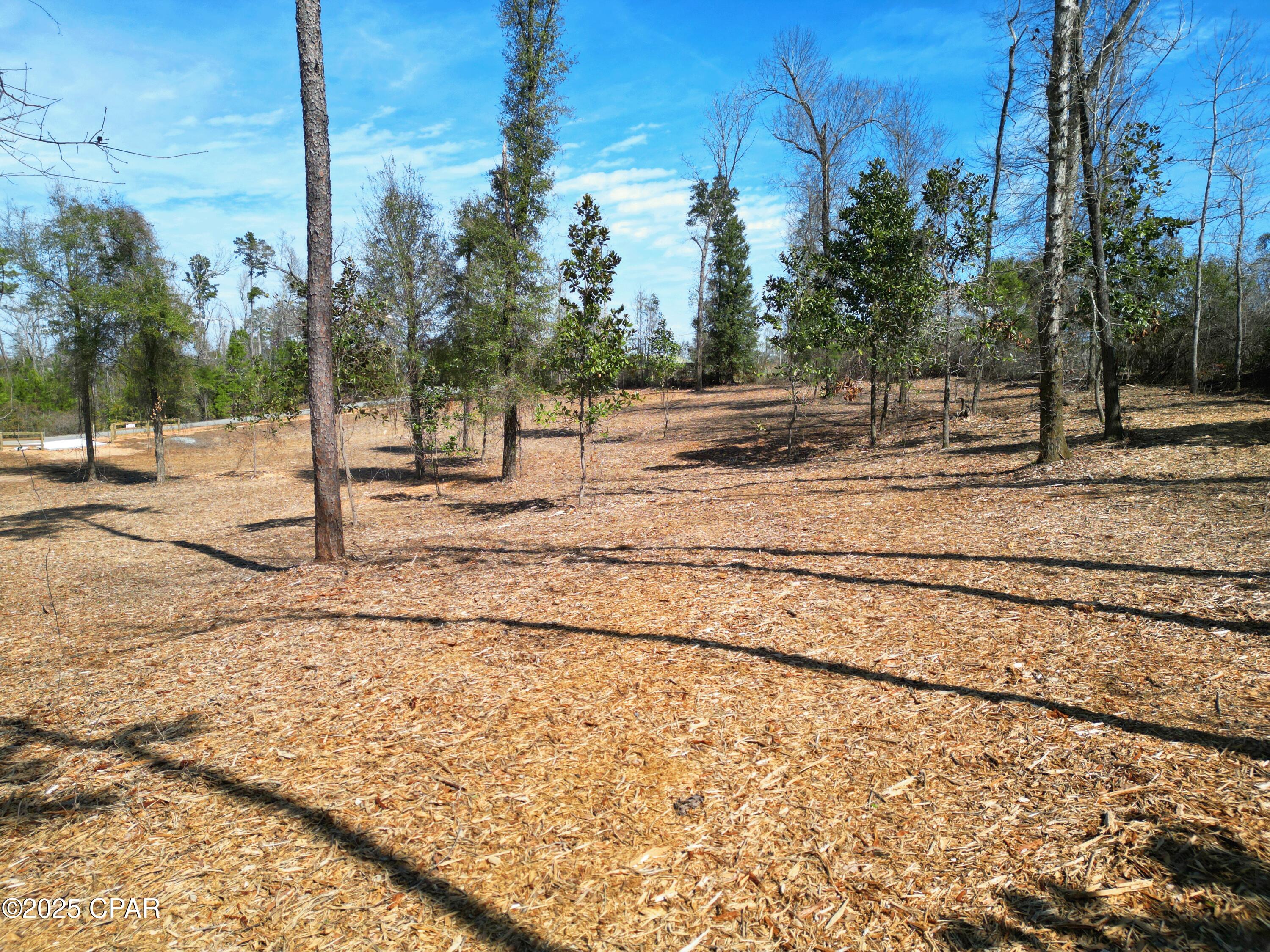 Dogwood Heights - Land