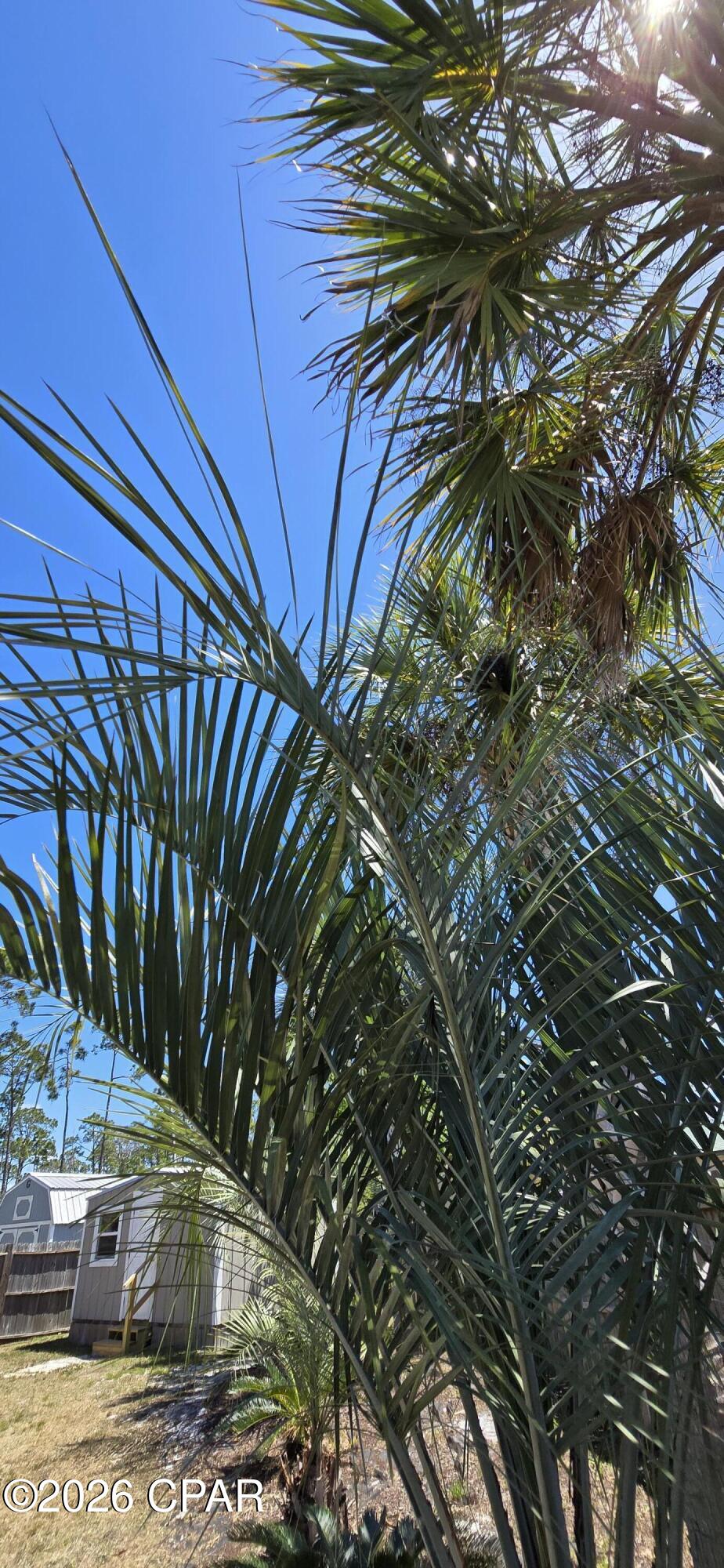 Highlands At St Joe Beach - Residential