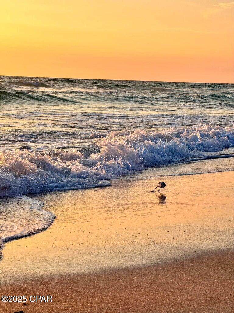 Seagull Beach - Residential