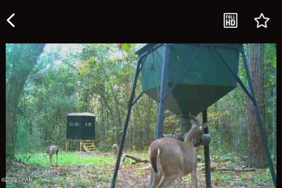 [No Recorded Subdiv] - Land