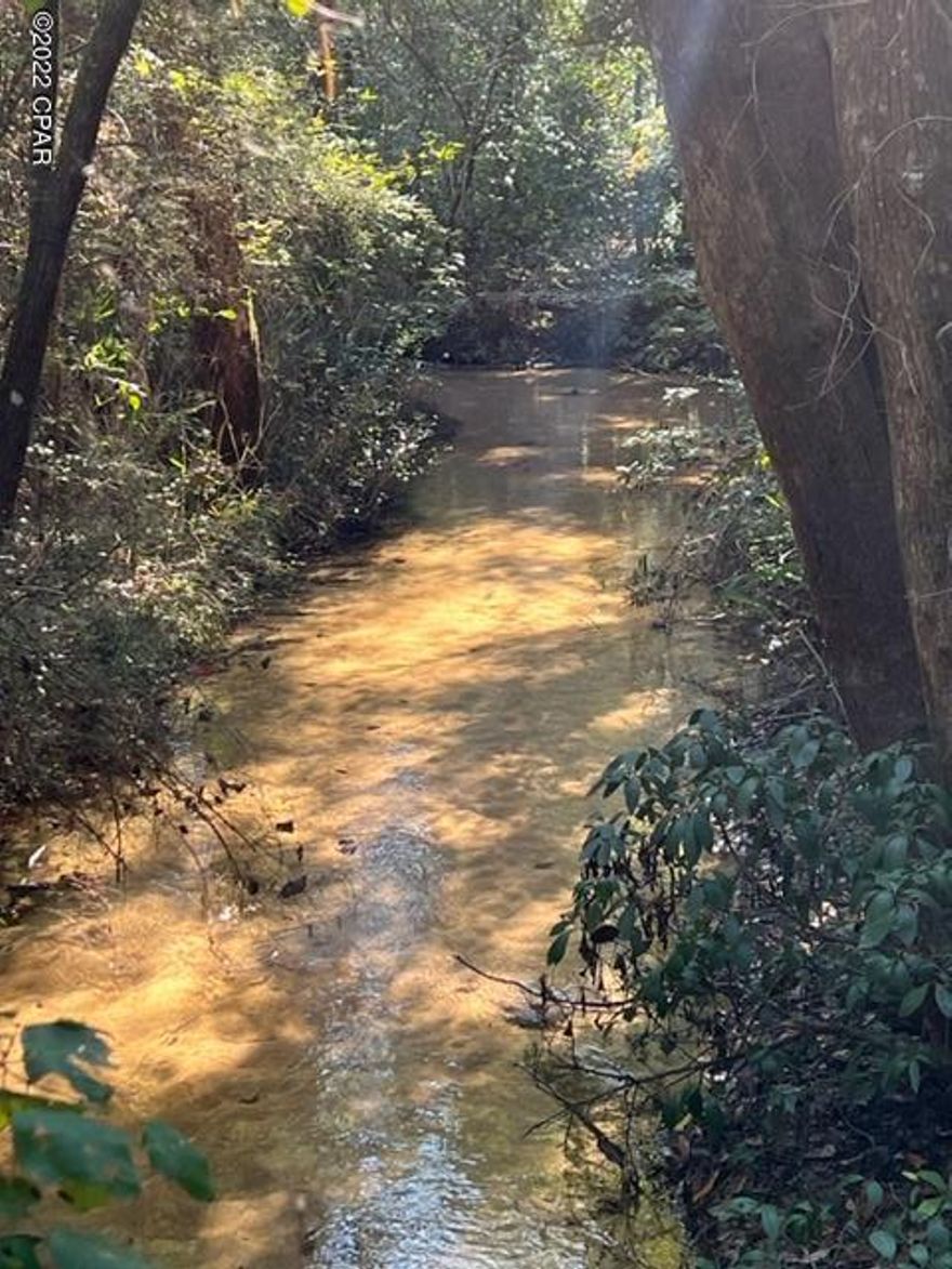 Timber/Recreational tract within 1 hr of Panama City Beach. Year round creek runs through property. Good timber tract with great deer and turkey hunting.