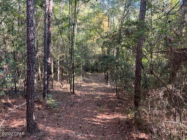 [No Recorded Subdiv] - Land