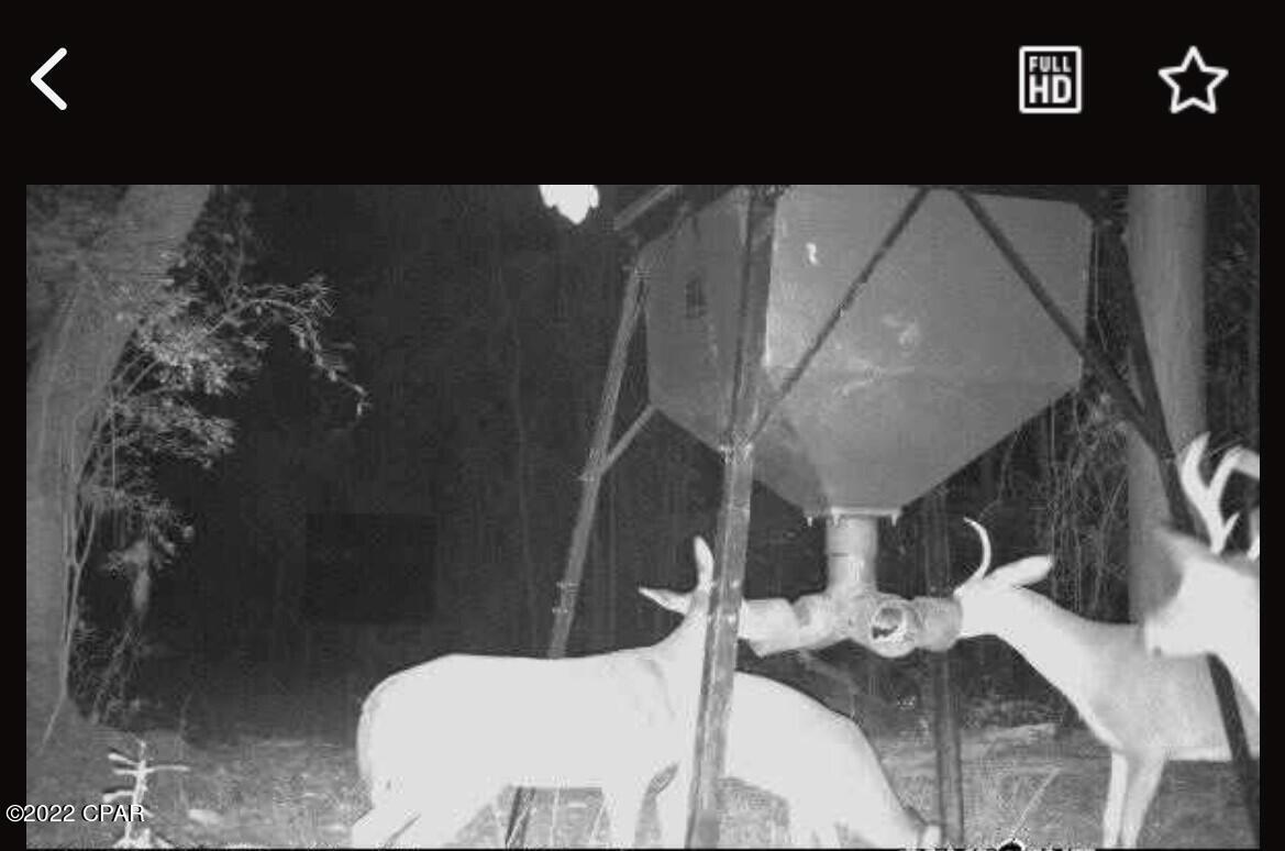 [No Recorded Subdiv] - Land