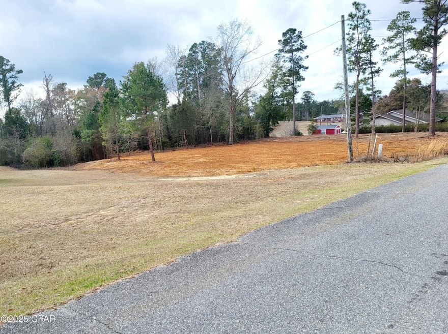 BUILD READY!  This lot, located in the well established Meadow View Subdivision is Cleared, Leveled and Surveyed!  All you need is your builder and plans.  Drive by and check out the neighborhood and the view!  This lot is close to Marianna Schools, Chipola College and Jackson Hospital.  Marianna is a great small town to live in.