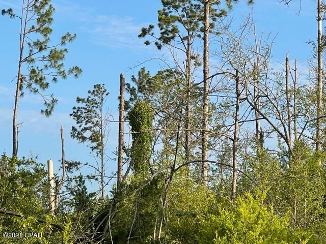 Compass Lake Hills Unit 5 - Land