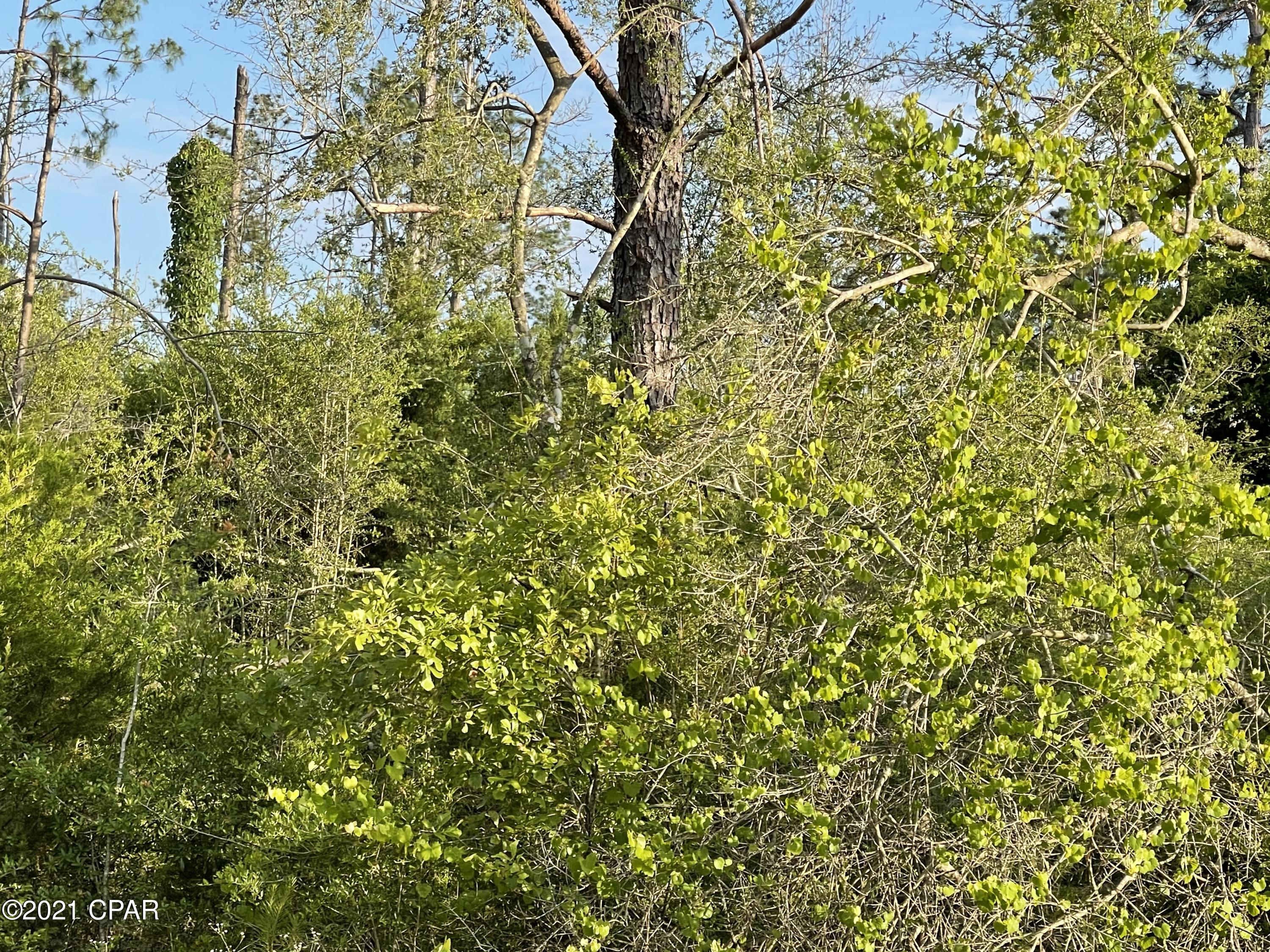 Compass Lake Hills Unit 5 - Land