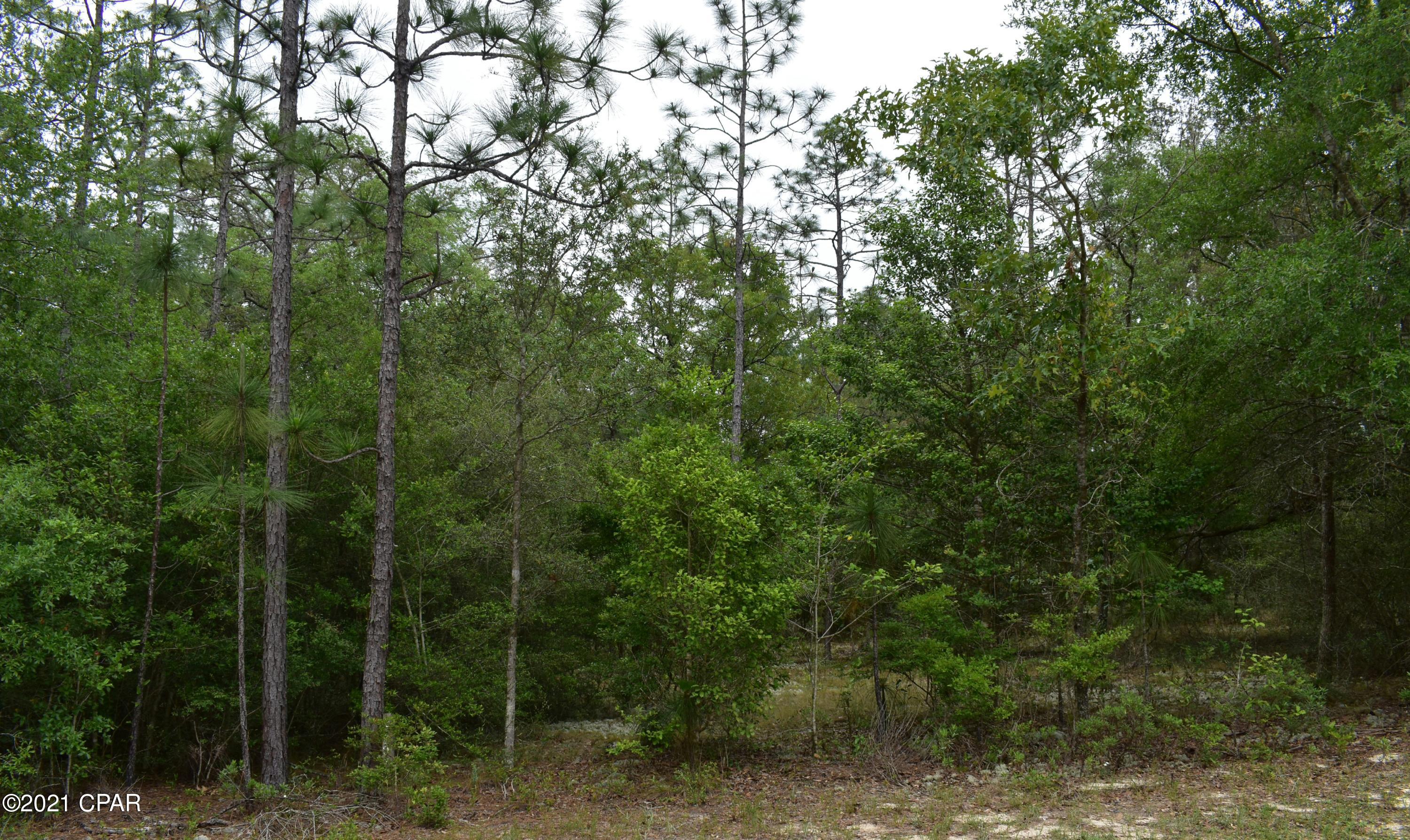 Leisure Lakes - Land