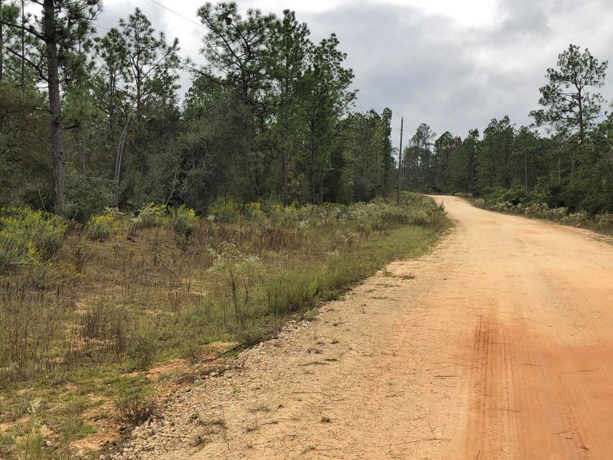 Nice wooded lot in Compass Lake in the Hills.  High and dry with level to a gradual incline which would make for an excellent home site.  Electricity already at the road. Close to pavement.  Comes with all the amenities of CLH  including Swimming pool usage, Boat ramp usage, 2 lakes to enjoy with rental cabins and rental RV park and more.  Excellent fishing nearby.  Also withing 40 min. to Panama City Mall and lots of restaurants, shopping, Hospitals and Beaches close by.