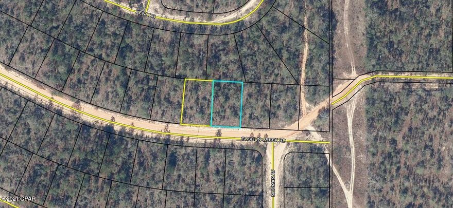 This property is in the up and coming Sunny Hills subdivision. It is in area of the subdivision that has been relatively untouched to development recently. Sunny Hills is home to a golf course, Boat Lake Swim Park and a recreational park. There are also many lakes in the area. You will need a 4 wheel drive vehicle to access this lot since it is in a area not often traveled and the roads are sandy.