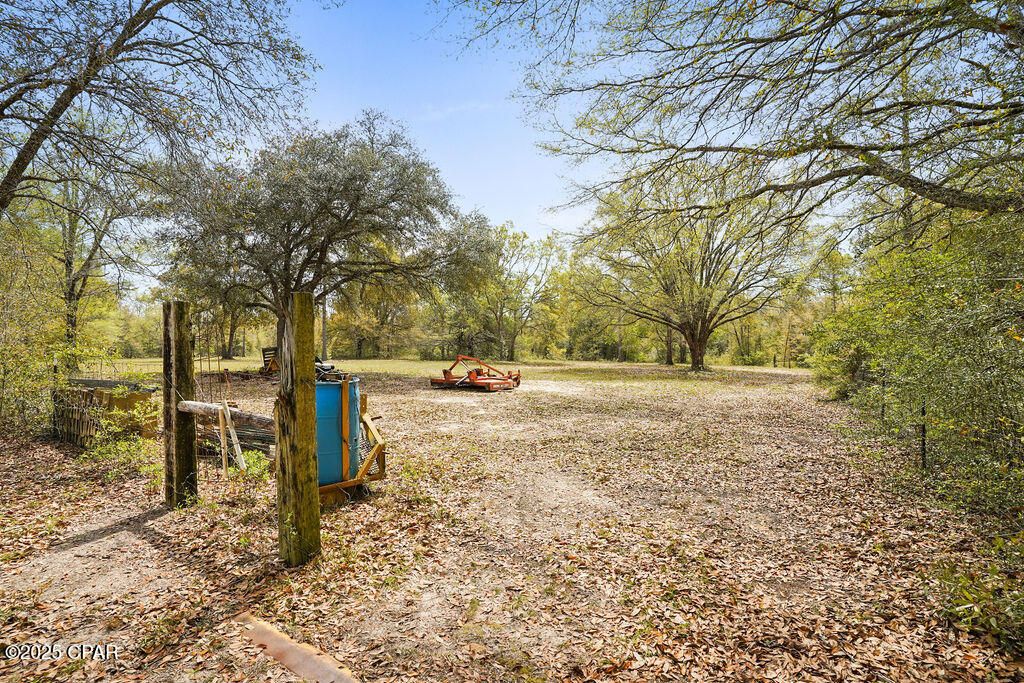 listing image 59