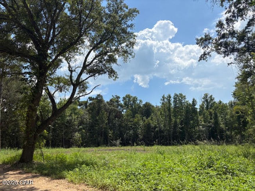 Escape to the peace and quiet of the Florida Panhandle with this beautiful 2-acre homesite just off Hwy 231, north of Cottondale. One acre has already been cleared—ready for your new home or mobile home—while the remaining wooded acre offers shade, privacy, or space to expand. Plant a garden, orchard, or create a mini farm with room for chickens and animals. Plus attention to those who hunt - lots of deer & hogs have been seen on the property. Enjoy good-tasting well water, mature trees, and the flexibility of country living. Ideally located with easy access north to Dothan, AL or south to Panama City and the Gulf beaches. A perfect spot to build your dream life surrounded by nature and outdoor adventures!