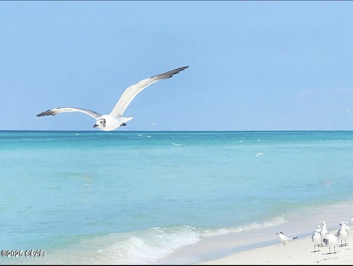 Beachview Villas - Residential