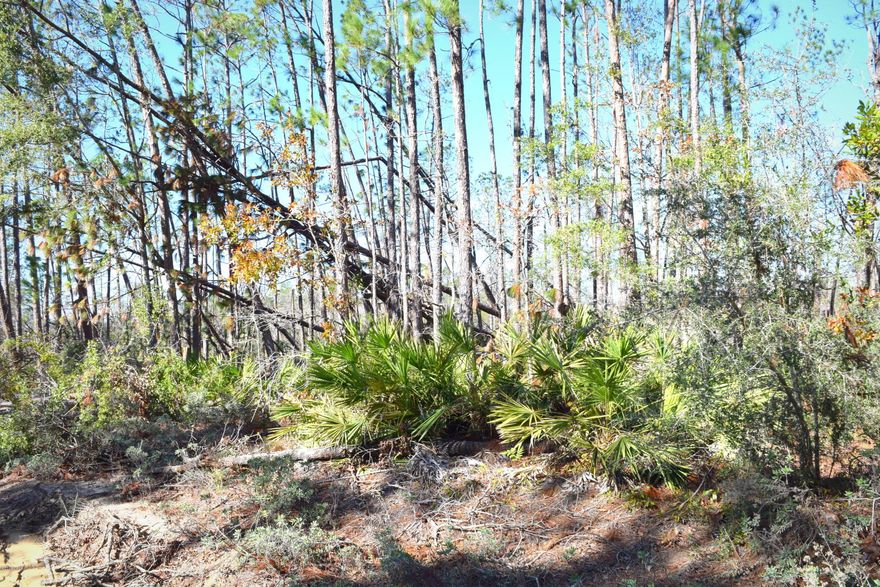 Searching for privacy? This 9.78 +/- acres of land offers plenty of it! There are endless possibilities, build your dream home or use for an investment opportunity. Lot is mostly wooded and located in the Buckhorn Creek area.