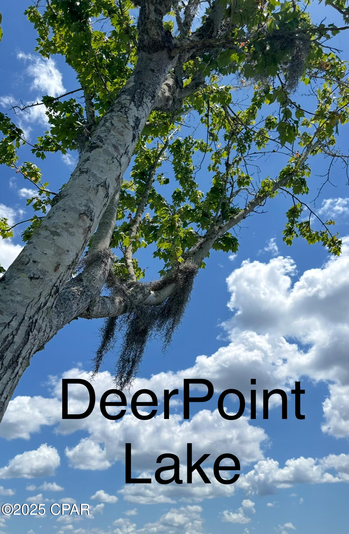 Bayhead Estates Unit 1 - Residential