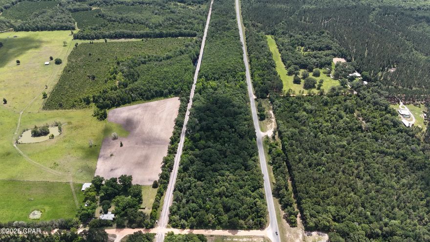 This 19-acre property is a remarkable find, offering an abundance of possibilities just three miles outside Bonifay, Florida. With highway frontage and convenient access via a dirt road, this wooded paradise is both serene and strategically located, making it perfect for a future business or dream home. Imagine the potential here—nestled just an hour from the stunning Panama City Beach and 50 minutes from Dothan, you can enjoy both natural beauty and vibrant city life. This land is a canvas waiting for your vision!