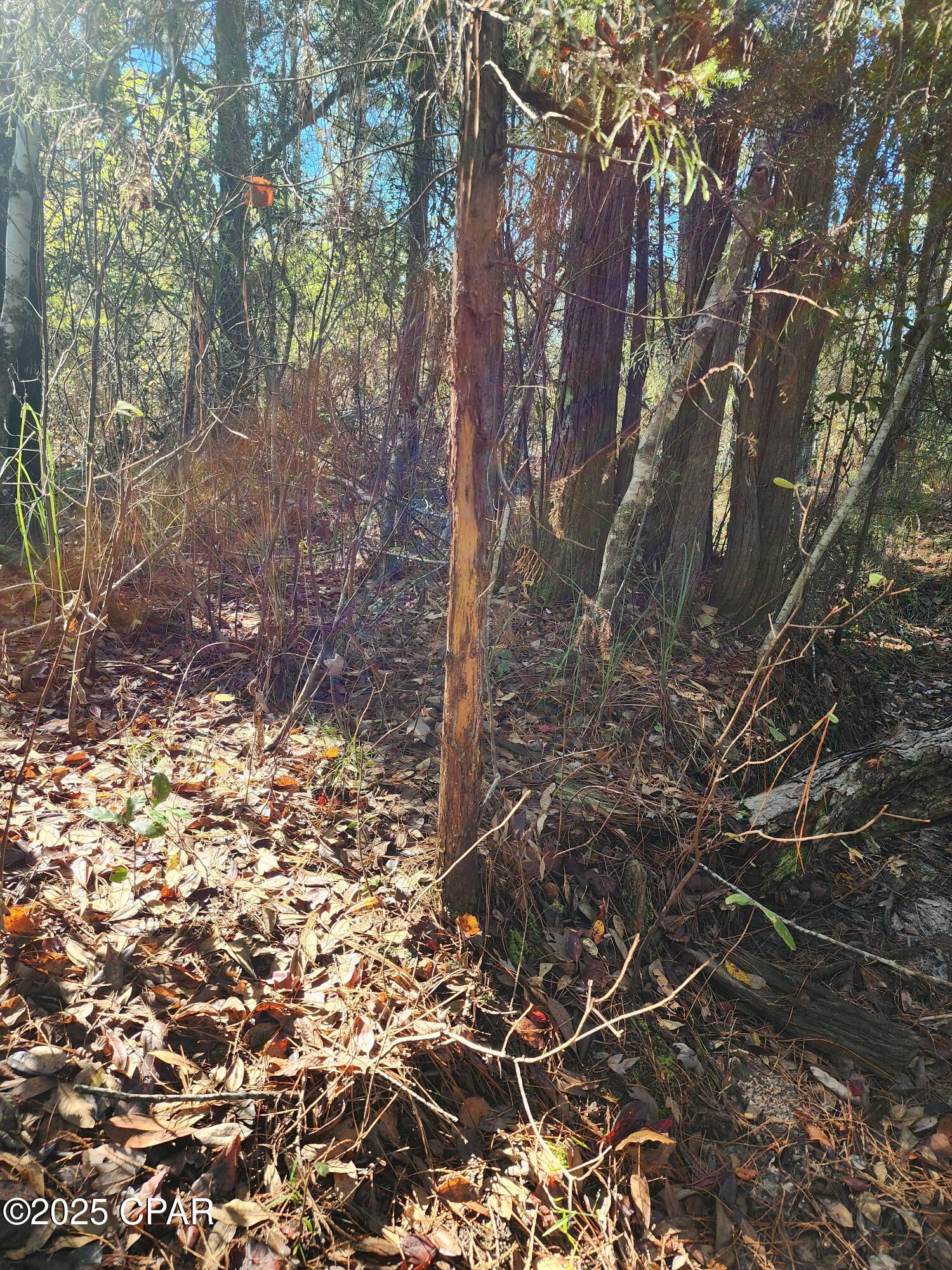 No Named Subdivision - Land