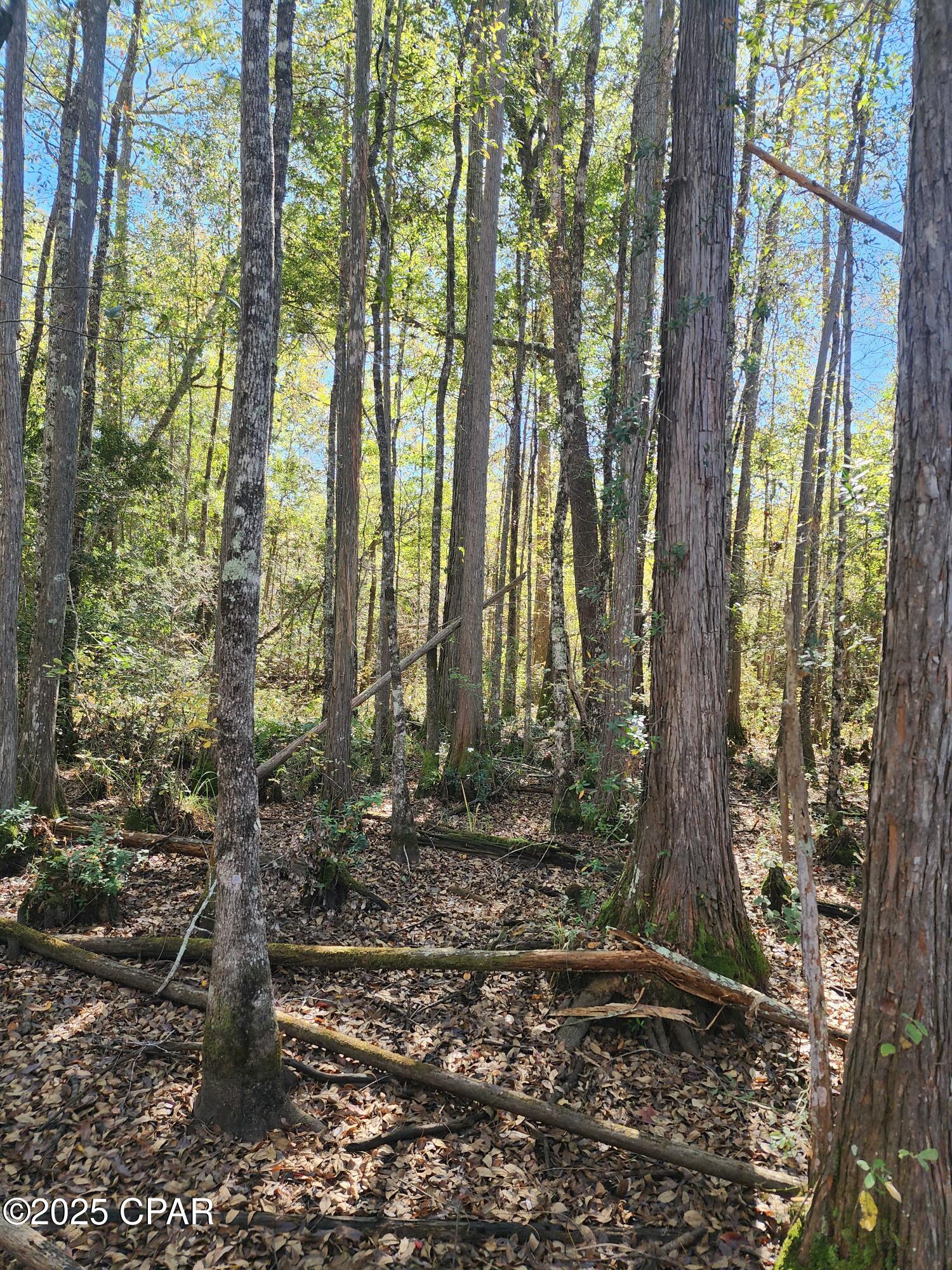 No Named Subdivision - Land