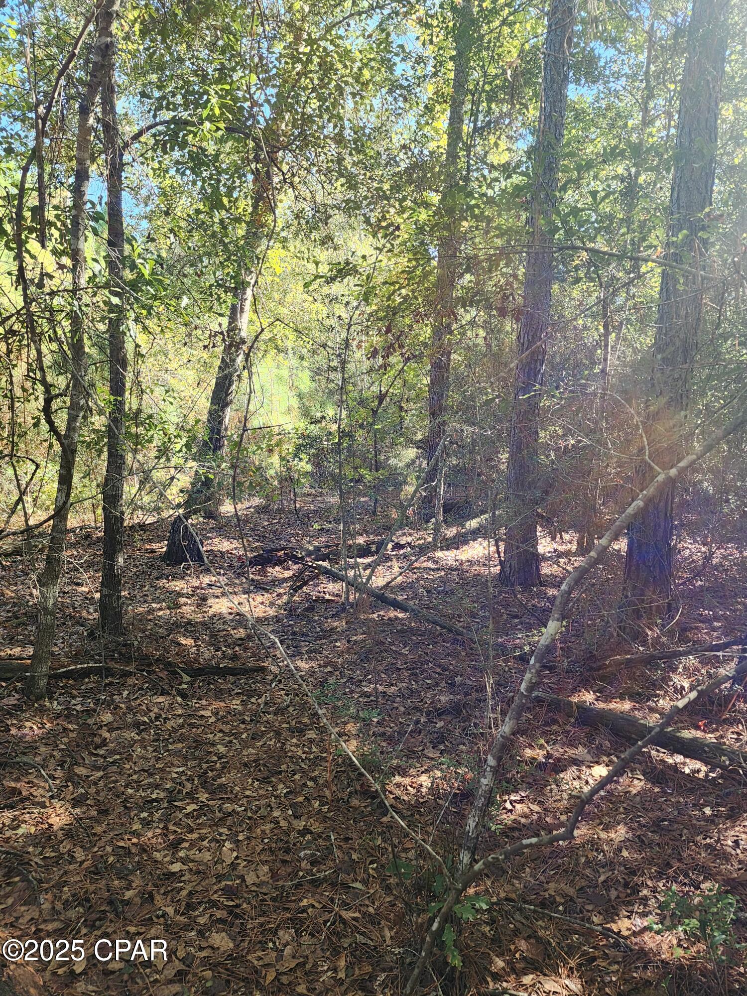 No Named Subdivision - Land