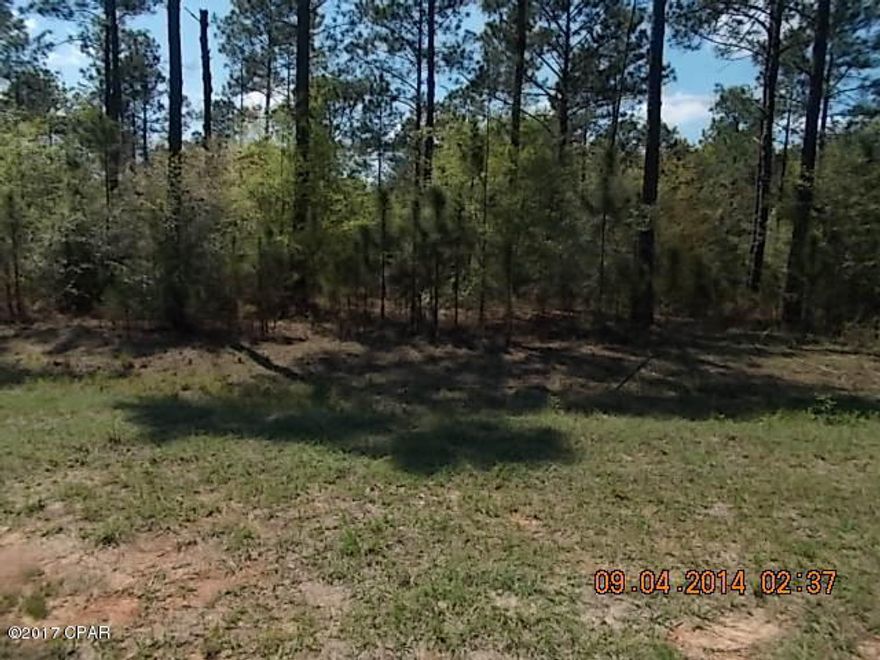Nice building lot in the Reedy Creek Subdivision. Lot is mostly wooded, with pines and some oaks. All lots have underground electric in place. Lots of deer and wildlife in this area. Hurry! at this price, won't last long.