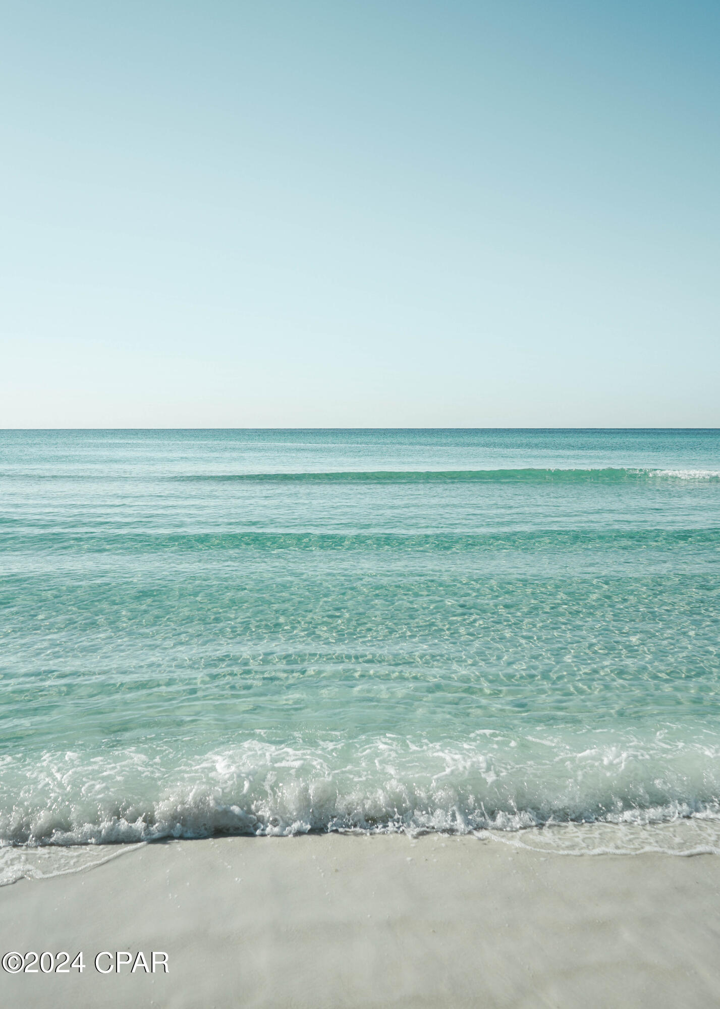 Pinewood Preserve - Commercial Sale