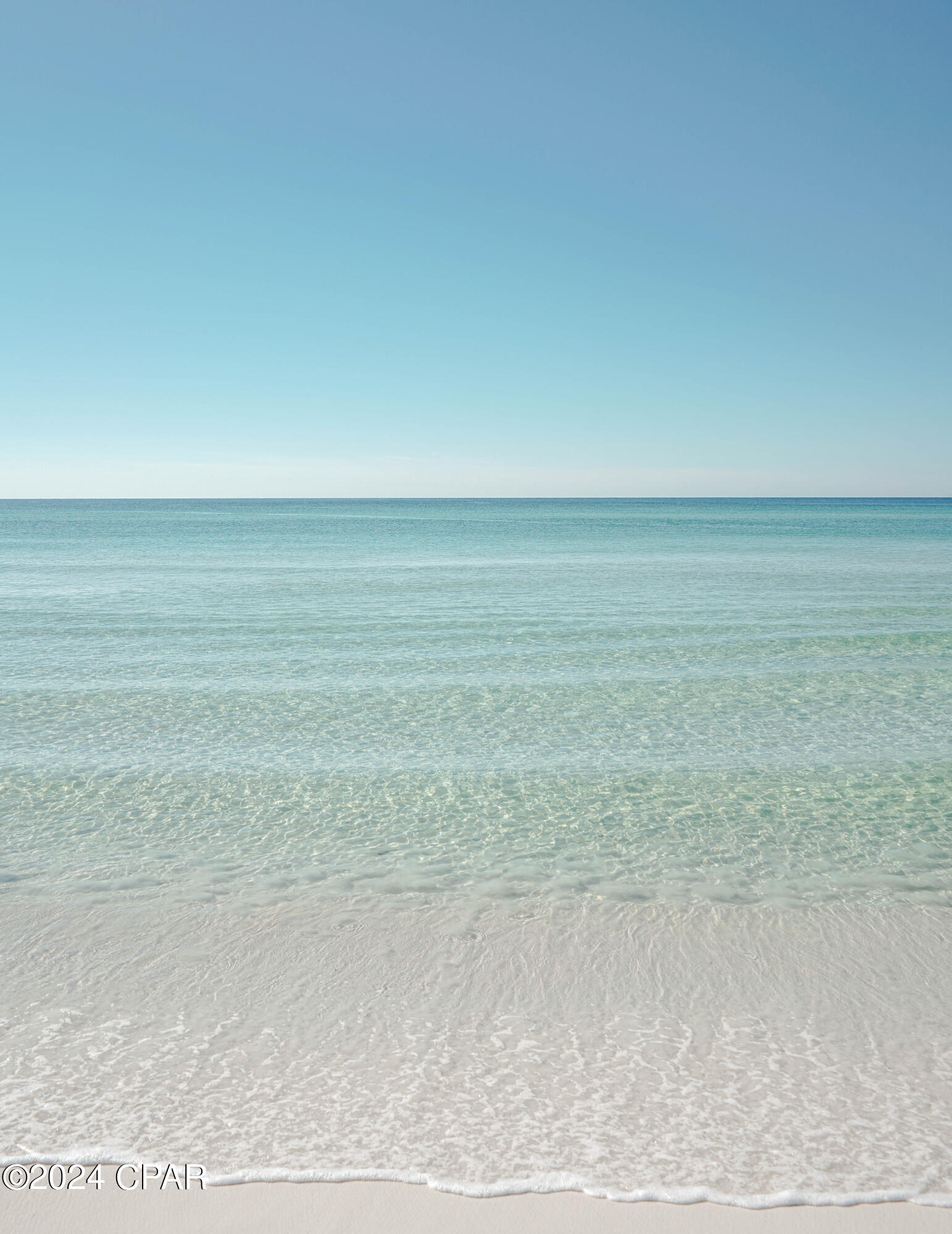 Pinewood Preserve - Commercial Sale