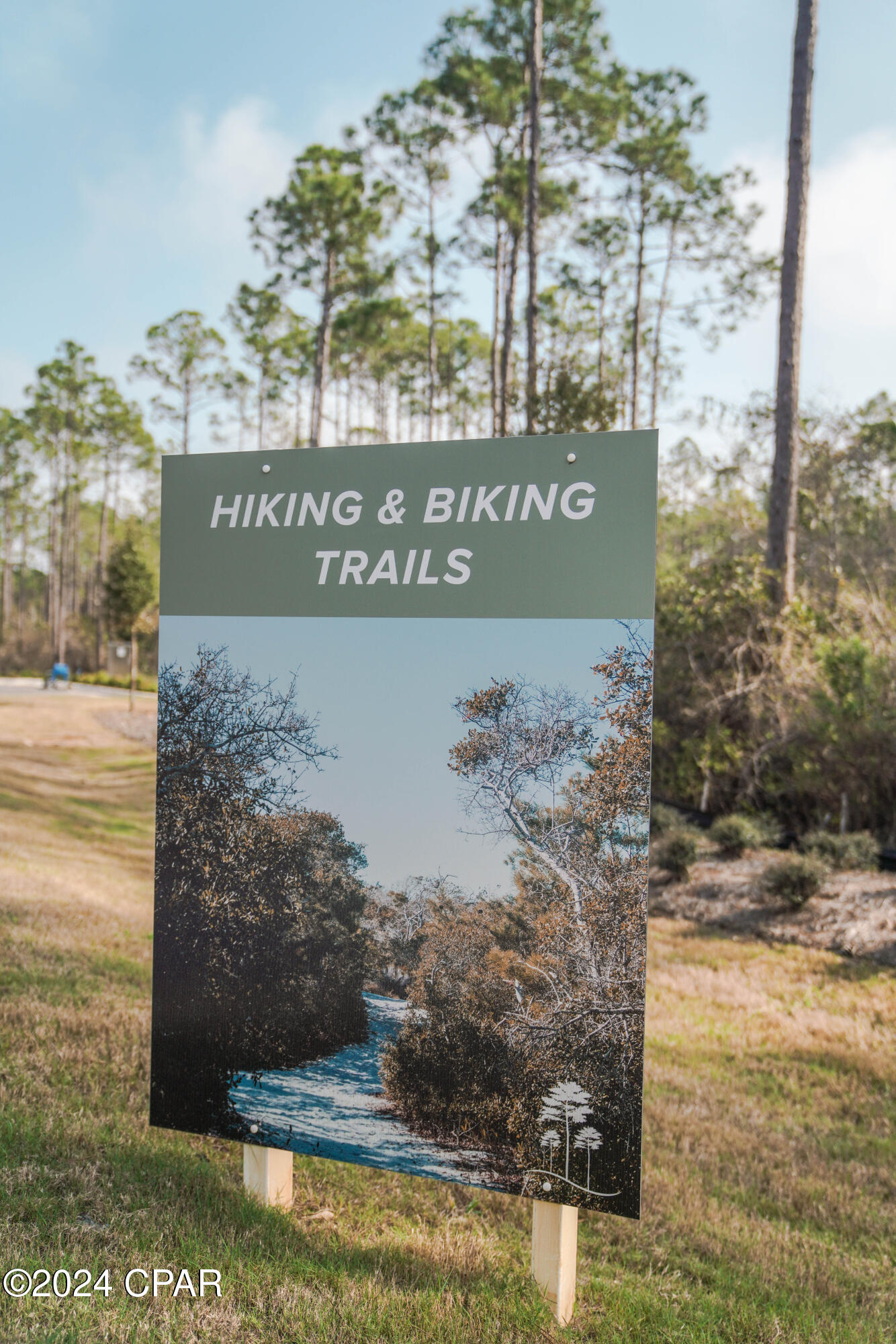 Pinewood Preserve - Commercial Sale