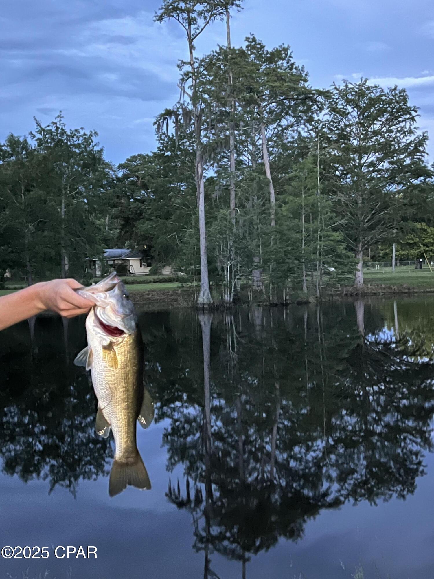 [No Recorded Subdiv] - Land