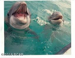 Grand Lagoon Shores11 - Residential