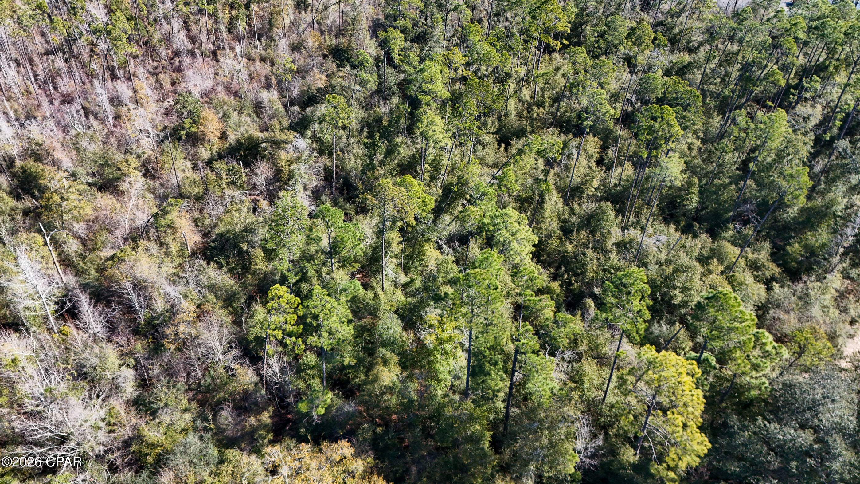 0000 White Pond Church Road