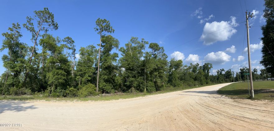 This property is just what you have been looking for. Located conveniently to Interstate-10 and Hwy 231. It is zoned for manufactured, mobile home or site built home with a minimum requirement of 1000sq ft of living area and at least 22ft wide. Call your agent to look at this beautiful neighborhood today!